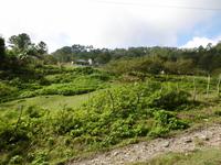 Topes de Collantes