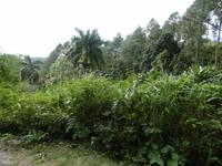 Topes de Collantes