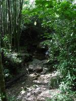 Topes de Collantes