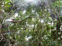 Topes de Collantes