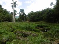 Topes de Collantes
