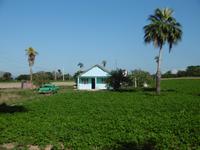 Vinales Tal