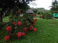Vinales Tal