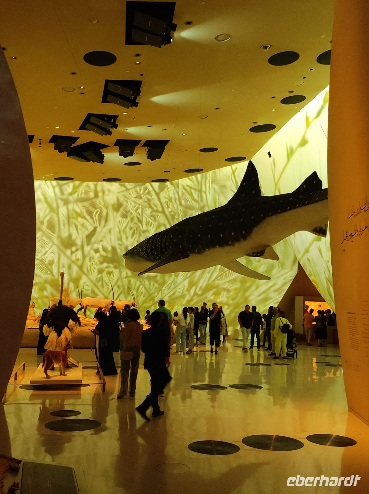 Das Nationalmuseum von Doha, Katar