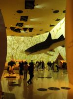 Das Nationalmuseum von Doha, Katar