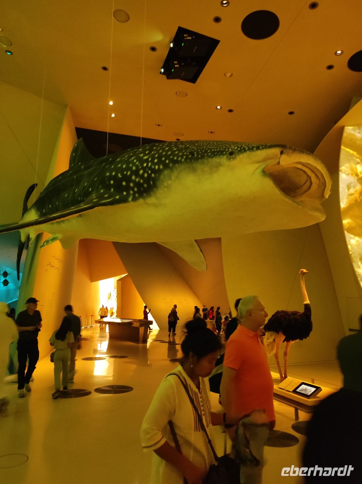 Das Nationalmuseum von Doha, Katar