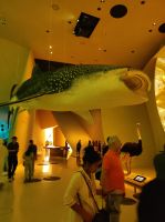 Das Nationalmuseum von Doha, Katar