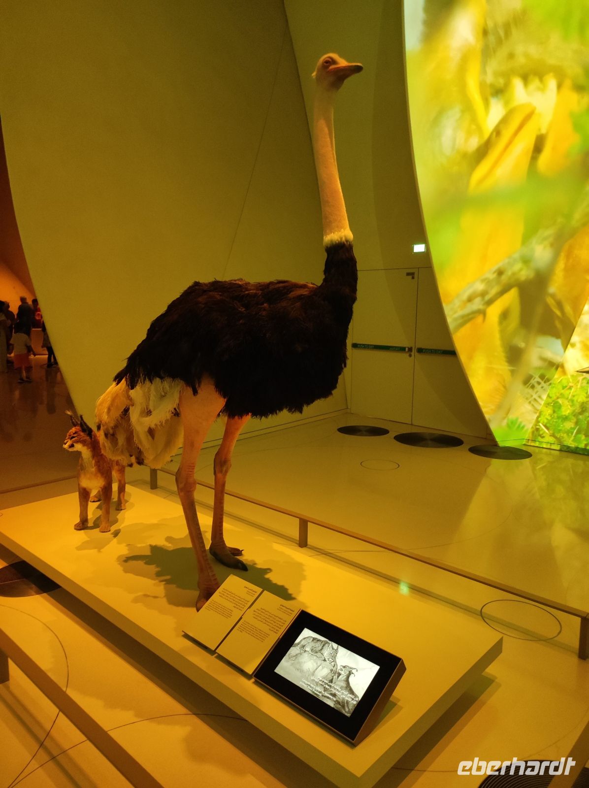 Das Nationalmuseum von Doha, Katar