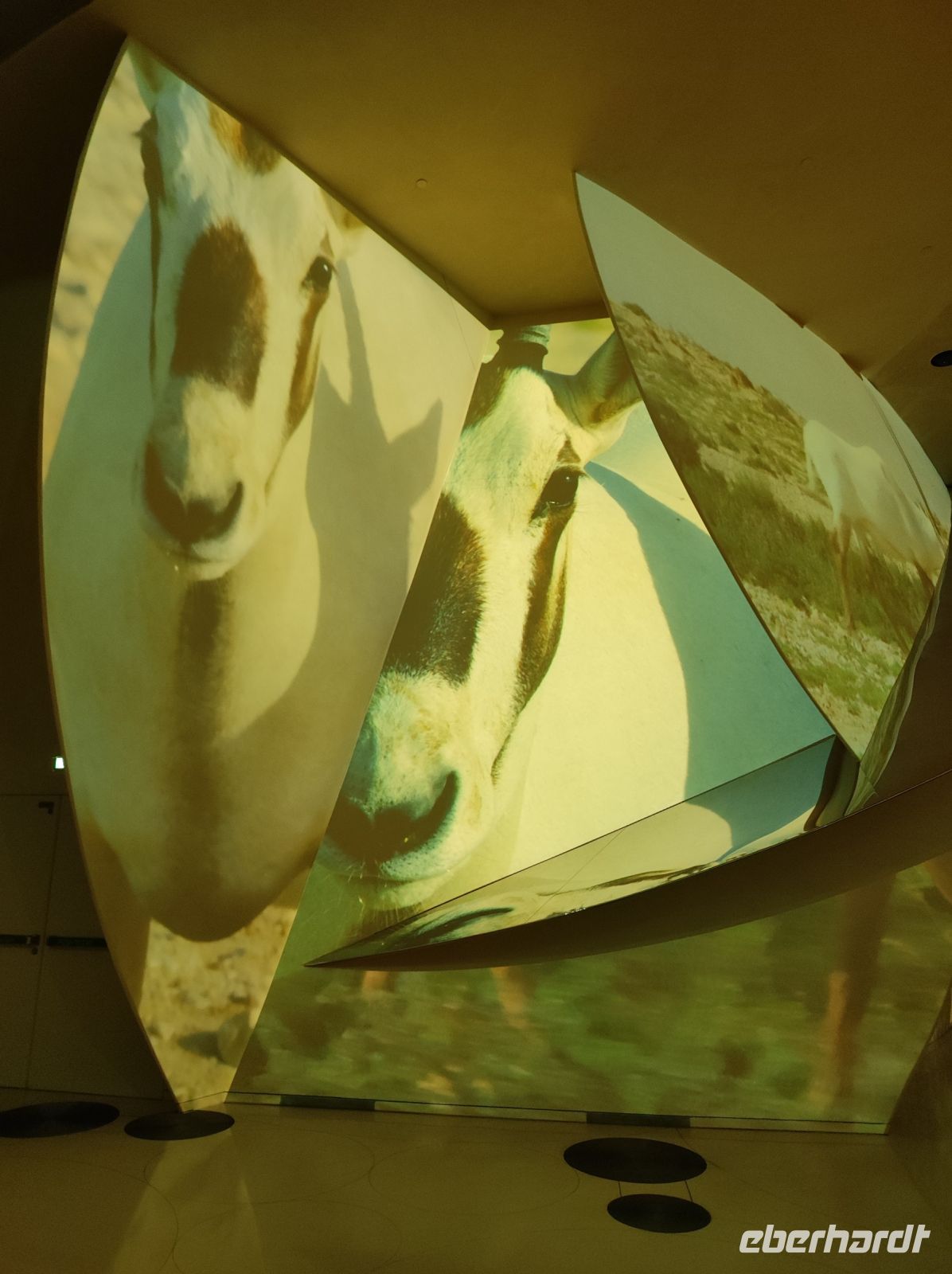 Das Nationalmuseum von Doha, Katar