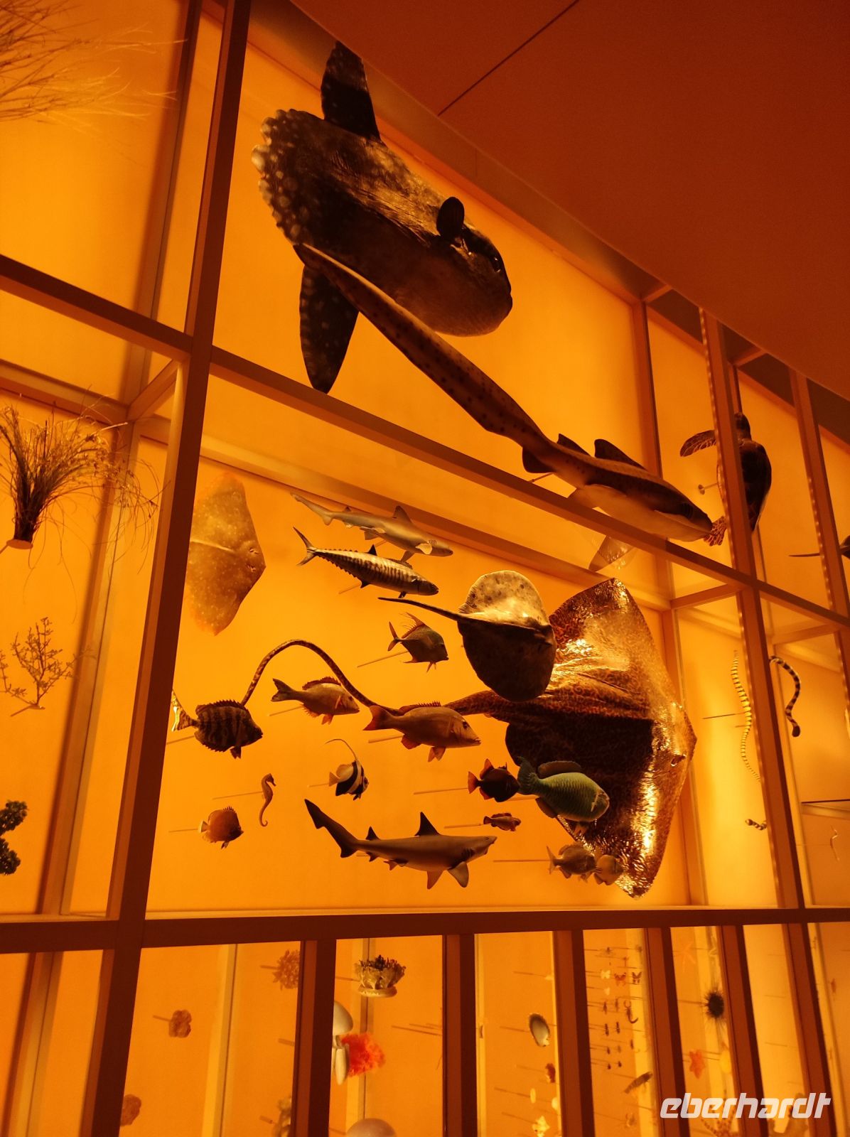 Das Nationalmuseum von Doha, Katar