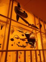 Das Nationalmuseum von Doha, Katar