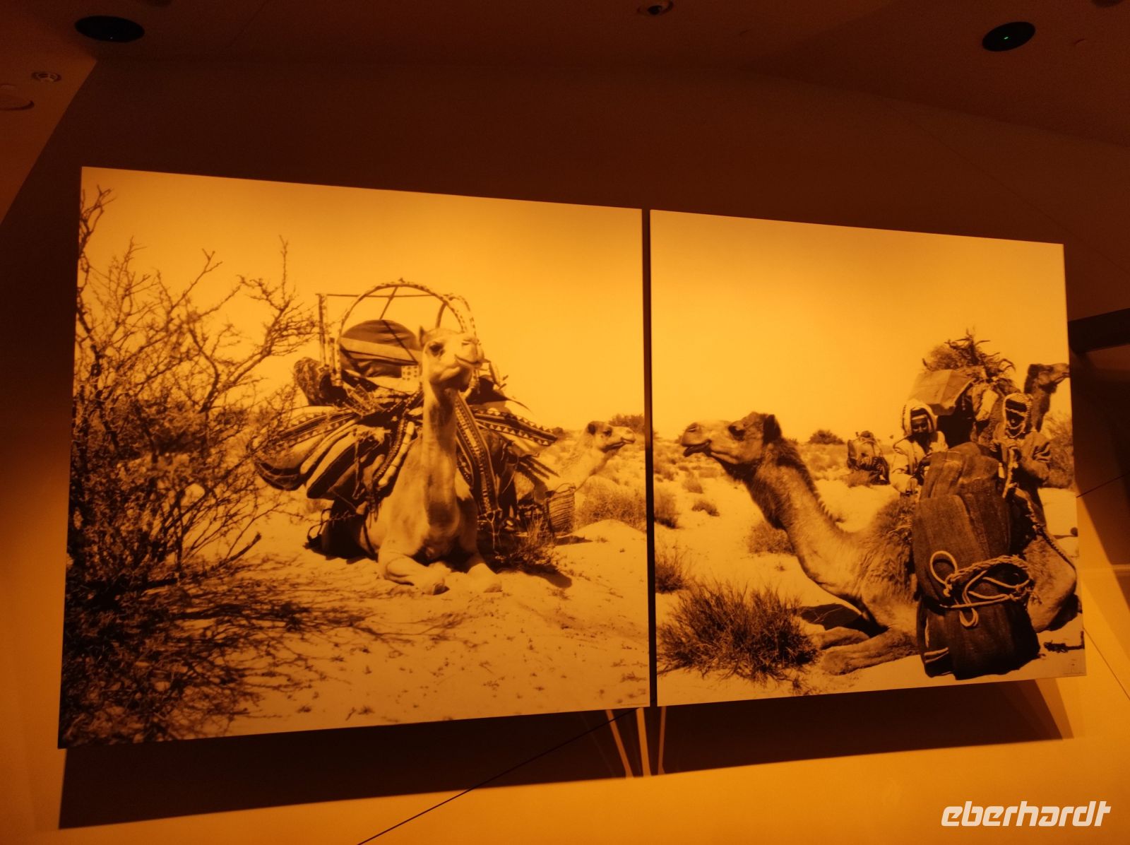 Das Nationalmuseum von Doha, Katar