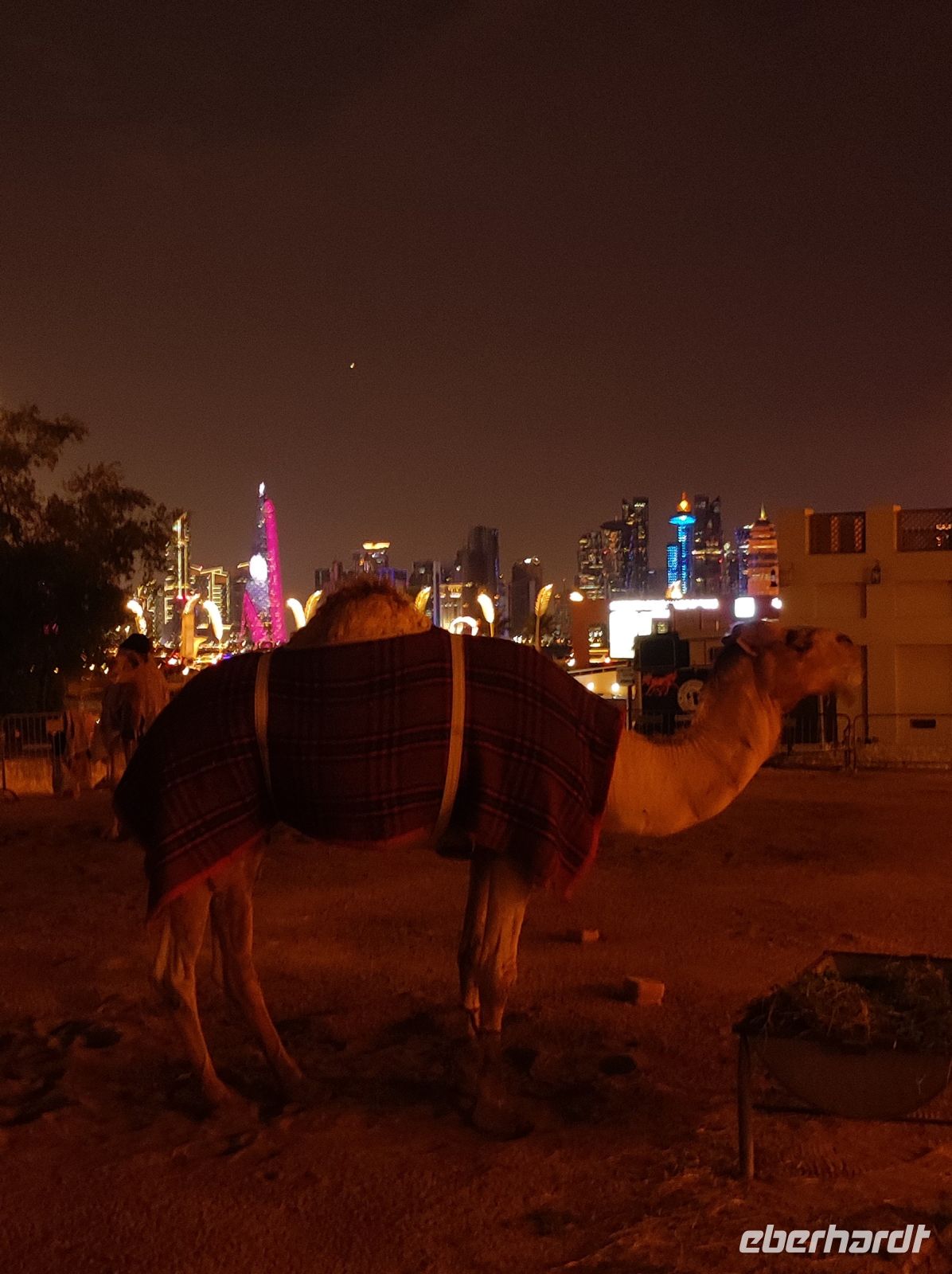 Kamel-Souq in Doha, Katar
