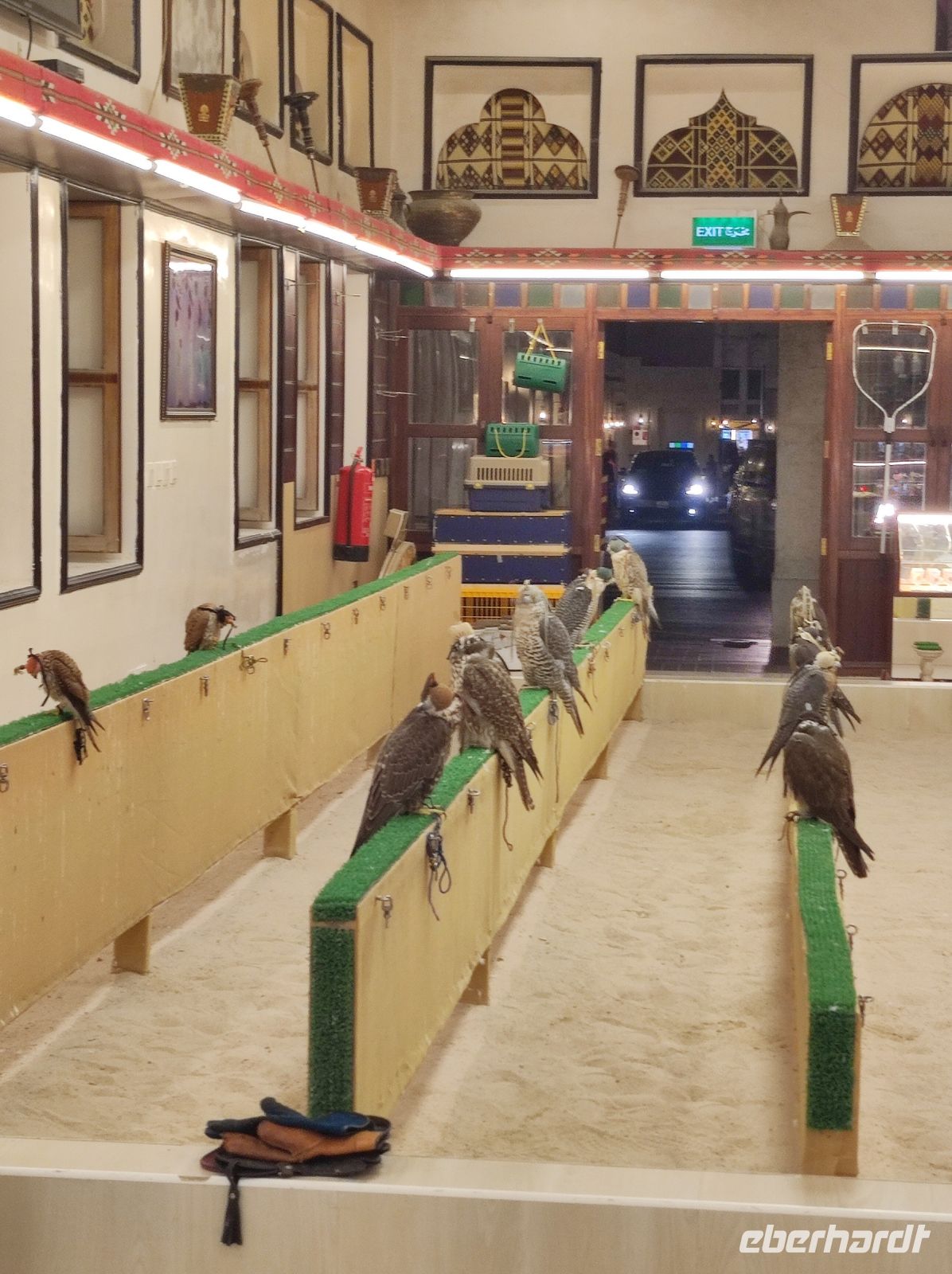 Falken-Souq in Doha, Katar