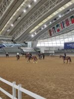 klimatisierte Indoor-Reithalle im  im 