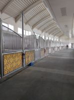 Hier halten die Könige und Emire hier Pferde