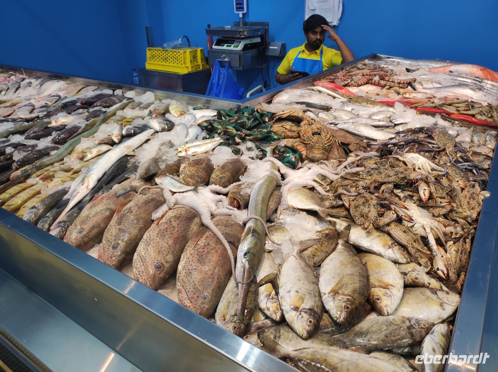 Fischmarkt von Al Khor