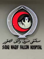 Falkenkrankenhaus im Souk Waqif