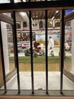 Falkenmarkt im Souk Waqif