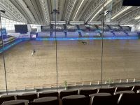 Reitsportzentrum Al Shaqab