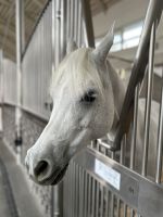 Reitsportzentrum Al Shaqab