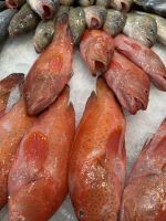 Fischmarkt in Al Khor