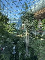 Abschied von Doha - Hamad Int. Airport