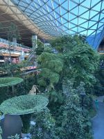 Abschied von Doha - Hamad Int. Airport