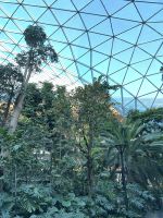 Abschied von Doha - Hamad Int. Airport