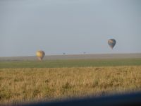 0182 Massai Mara -