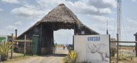 118 Ankunft Ol Pejeta Conservancy