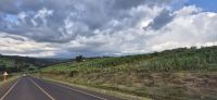 13 unterswegs nach Samburu