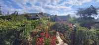 17 Rhino Lodge