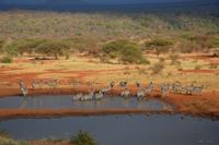 Tsavo west