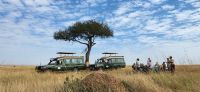181  Frühstück in der Masai Mara
