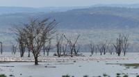 Lake Nakuru Nationalpark