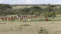 Masai Mara