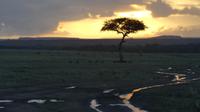 Masai Mara