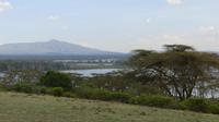 Lake Naivasha Fußsafari