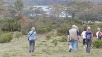 Lake Naivasha Fußsafari