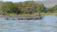 Bootstour Lake Naivasha