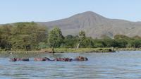Bootstour Lake Naivasha