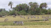 Amboseli Nationalpark