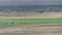 Amboseli Nationalpark Blick vom Aussichtspunkt