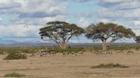 Amboseli Nationalpark