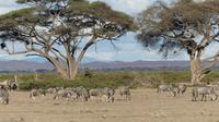 Amboseli Nationalpark