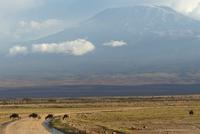 Kilimandscharo beim Nachmittags Game Drive