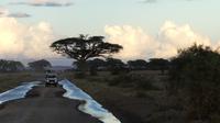 Amboseli Nationalpark der Tag neigt sich dem Ende