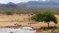unsere Lodge in Tsavo West