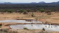 unsere Lodge in Tsavo West